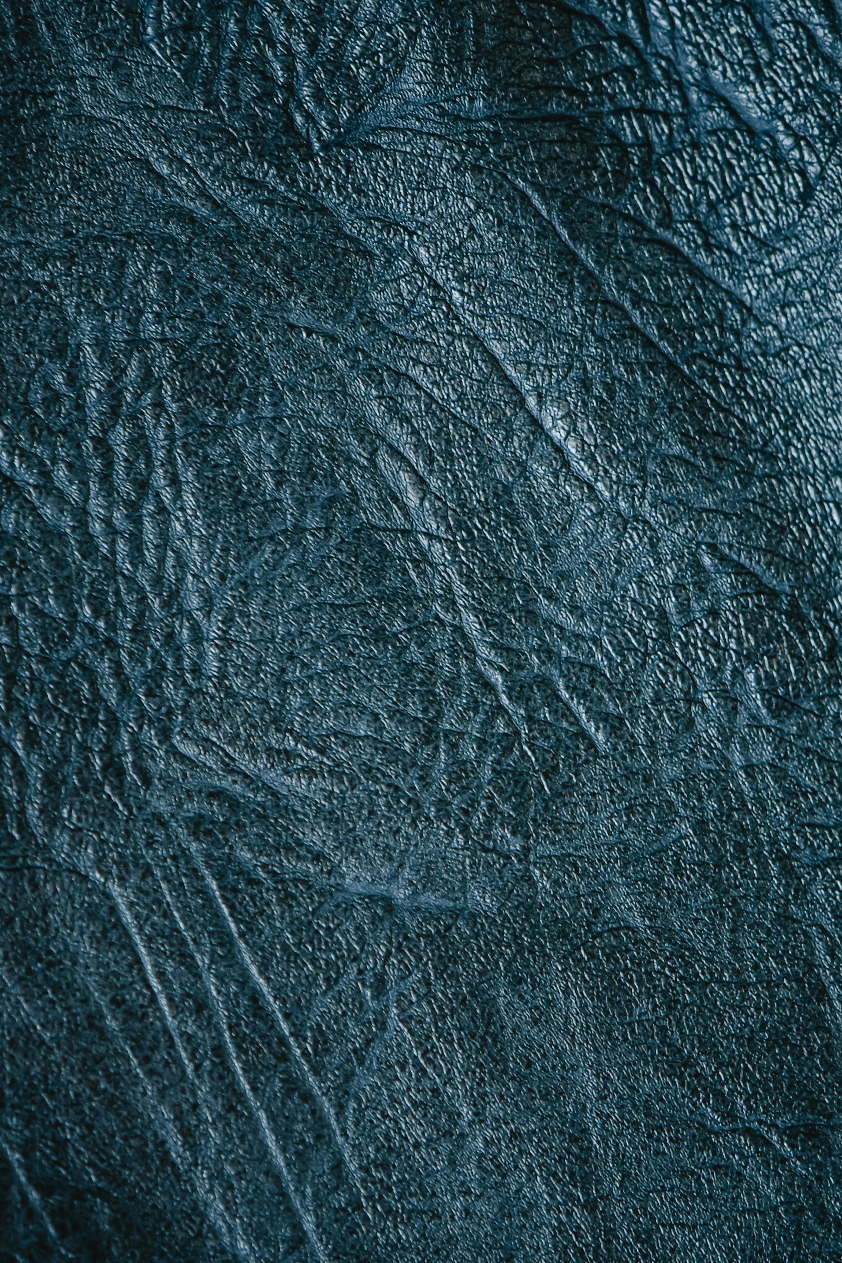 Wet Blue Hide